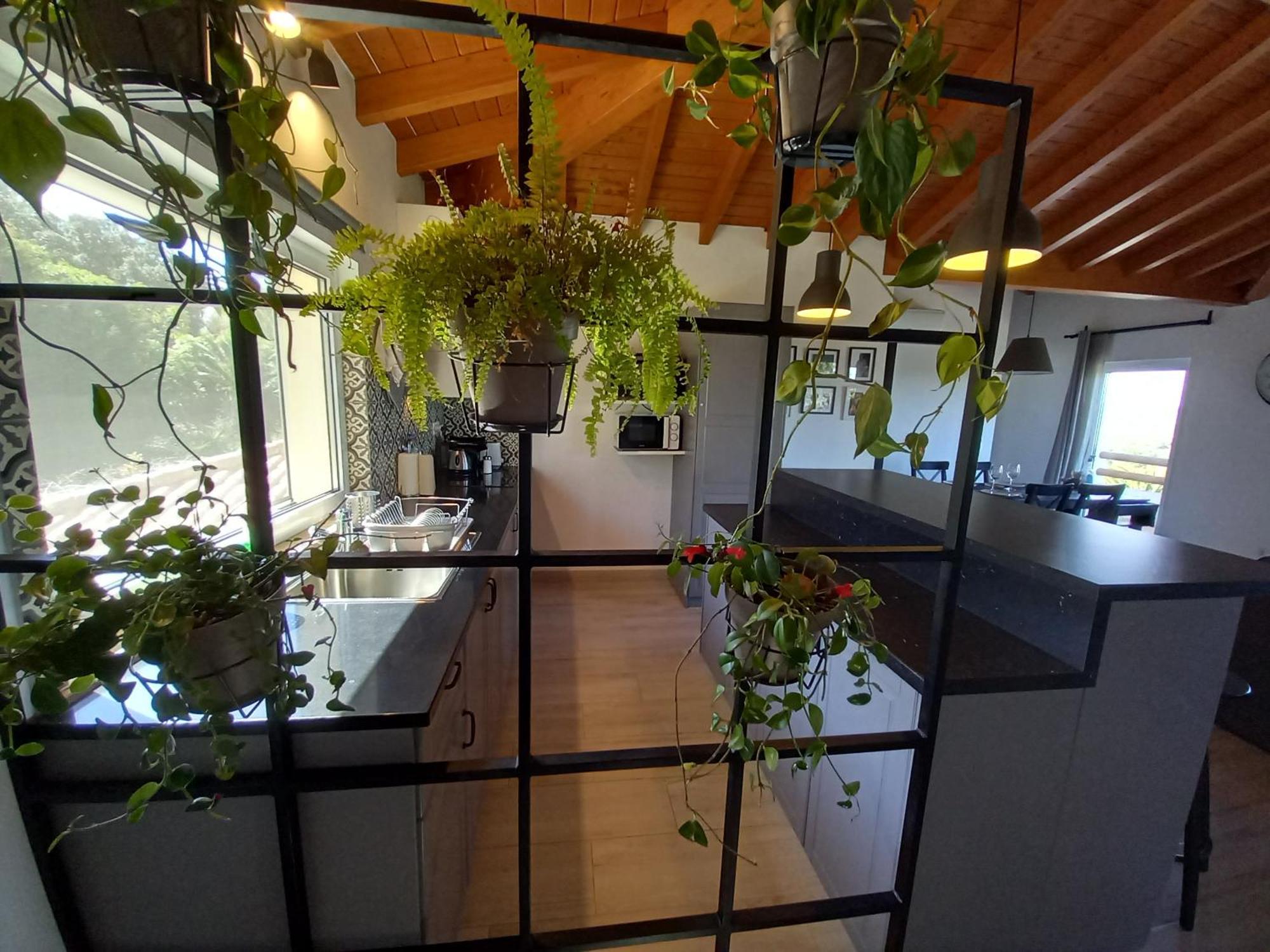 Apartamento Belch1952 Lagos Habitación foto